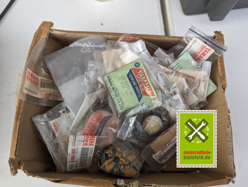 PXL_20240528_171822300